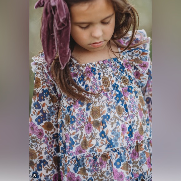 NWT Cheeky Plum Brielle Shimmer Dress Violet Fields 18-24M - Picture 14 of 14